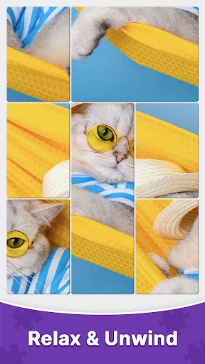 ดาวน์โหลด Jigsawdeck Solitaire Puzzle ล่าสุด – เกมพัซเซิลผสมไพ่เล่นฟรี - Screenshot 2