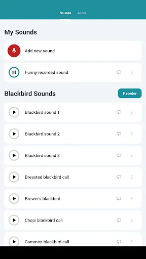 ดาวน์โหลด Blackbird Sounds ล่าสุด – สัมผัสเสียงธรรมชาติ ฟรี - Screenshot 11