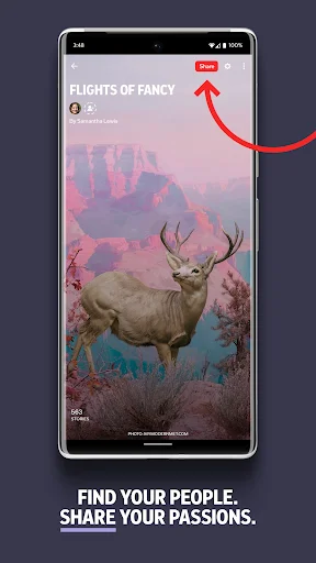 ดาวน์โหลด Flipboard ล่าสุด – อ่านข่าวและคอนเทนต์ที่คุณสนใจฟรี - Screenshot 5