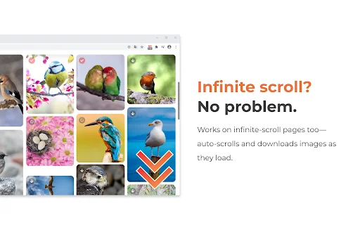 ดาวน์โหลด One-click image downloader – Grabit ล่าสุด – บันทึกภาพต้นฉบับฟรี - Screenshot 5