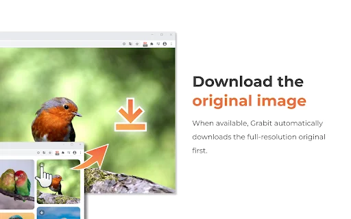 ดาวน์โหลด One-click image downloader – Grabit ล่าสุด – บันทึกภาพต้นฉบับฟรี - Screenshot 3