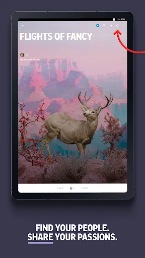 ดาวน์โหลด Flipboard ล่าสุด – อ่านข่าวและคอนเทนต์ที่คุณสนใจฟรี - Screenshot 15