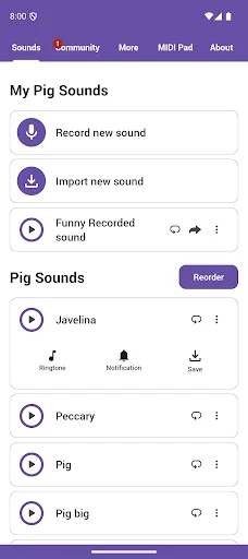 ดาวน์โหลด Pig Sounds ล่าสุด – รวมเสียงหมูสุดสนุก ฟรีบนมือถือ - Screenshot 1