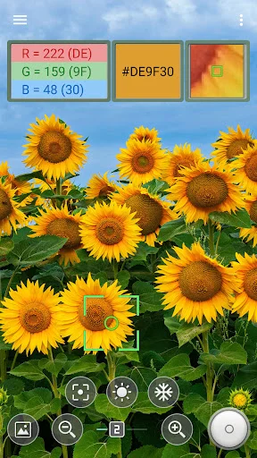 ดาวน์โหลด Color Picker ล่าสุด – เครื่องมือดูดสีจากกล้องฟรี - Screenshot 3