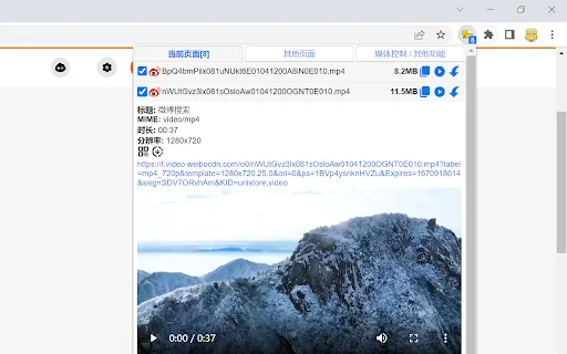 ดาวน์โหลด cat-catch ล่าสุด – ส่วนขยายดึงข้อมูลวิดีโอฟรีสำหรับ Chrome - Screenshot 1