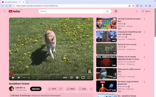 ดาวน์โหลด Pastel Pink YouTube ล่าสุด – เปลี่ยนพื้นหลัง YouTube ให้เป็นสีชมพูพาสเทลฟรี - Screenshot 1