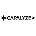 ดาวน์โหลด Capalyze: AI Web Scraper ส่วนขยายดึงข้อมูลเว็บเป็น Excel ฟรี