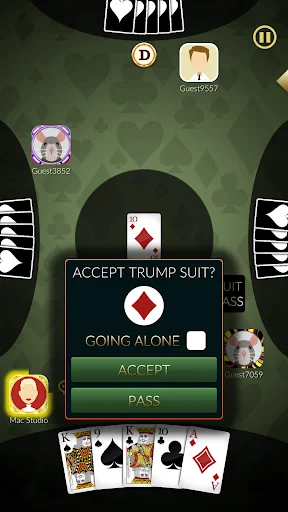 ดาวน์โหลด Euchre Ultimate ล่าสุด – เกมไพ่สุดคลาสสิกเล่นสนุกออนไลน์ฟรี - Screenshot 23