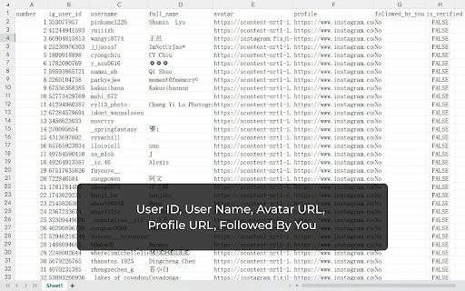IG Followers Exporter ดาวน์โหลดเวอร์ชันล่าสุด – ส่งออกข้อมูลผู้ติดตามฟรี - Screenshot 3