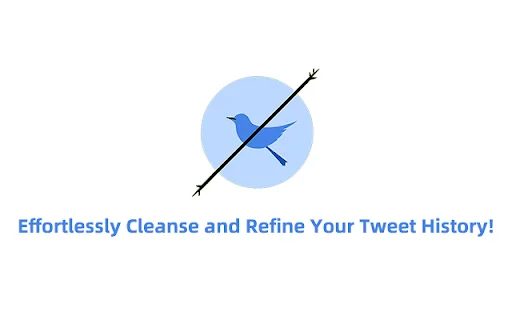 DeleteTweets: ลบโพสต์ Twitter/X จำนวนมากได้ง่ายๆ ในคลิกเดียว - Screenshot 1