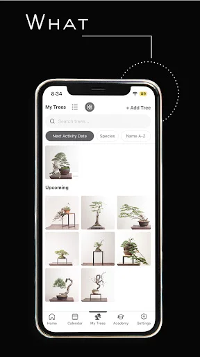 ดาวน์โหลด Mirai Mobile ล่าสุด – คู่มือดูแลบอนไซส่วนตัวของคุณ - Screenshot 3
