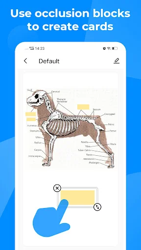 ดาวน์โหลด Knowlet – แอปแฟลชการ์ดช่วยจำ สอบผ่านง่าย ได้คะแนนสูง ฟรี - Screenshot 8