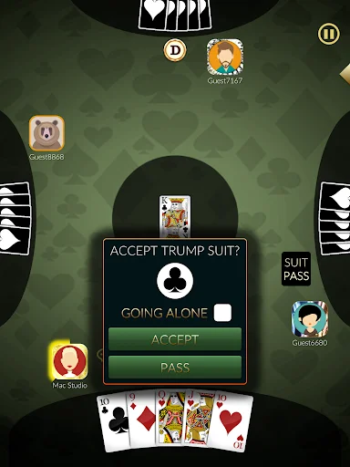 ดาวน์โหลด Euchre Ultimate ล่าสุด – เกมไพ่สุดคลาสสิกเล่นสนุกออนไลน์ฟรี - Screenshot 9