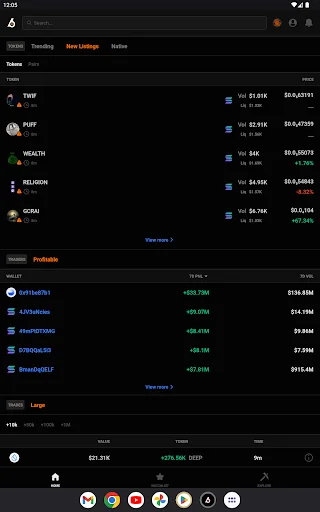 ดาวน์โหลด Birdeye – ติดตามราคา Crypto และ Memecoins ล่าสุด ฟรี - Screenshot 16