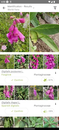 ดาวน์โหลด PlantNet ระบุชนิดพืชแม่นยำ – แอปดีที่คนรักต้นไม้ต้องมี - Screenshot 2