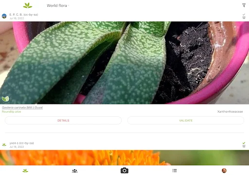 ดาวน์โหลด PlantNet ระบุชนิดพืชแม่นยำ – แอปดีที่คนรักต้นไม้ต้องมี - Screenshot 12
