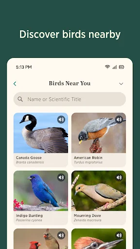 ดาวน์โหลด Audubon Bird Guide เวอร์ชันล่าสุด – คู่มือดูนกฟรีที่ดีที่สุด - Screenshot 5