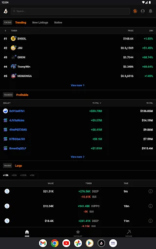 ดาวน์โหลด Birdeye – ติดตามราคา Crypto และ Memecoins ล่าสุด ฟรี - Screenshot 9