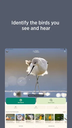 ดาวน์โหลด Audubon Bird Guide เวอร์ชันล่าสุด – คู่มือดูนกฟรีที่ดีที่สุด - Screenshot 13
