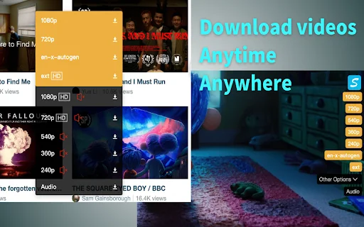 ดาวน์โหลดวิดีโอ Vimego – ส่วนขยายช่วยบันทึกวิดีโอและเสียงง่ายๆ - Screenshot 1