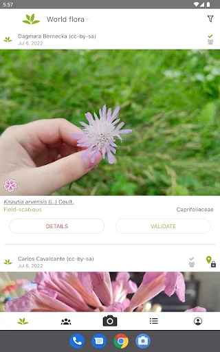 ดาวน์โหลด PlantNet ระบุชนิดพืชแม่นยำ – แอปดีที่คนรักต้นไม้ต้องมี - Screenshot 8