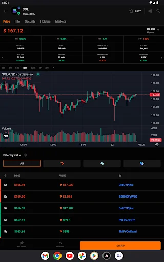 ดาวน์โหลด Birdeye – ติดตามราคา Crypto และ Memecoins ล่าสุด ฟรี - Screenshot 18